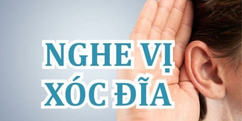 Hướng dẫn chi tiết cách nghe vị xóc đĩa 3D